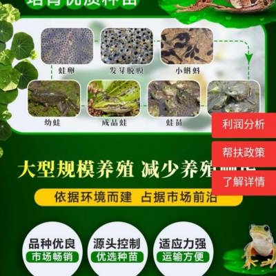青蛙养殖一亩要多少钱_青蛙养殖一亩要多少钱_青蛙养殖一亩要多少钱