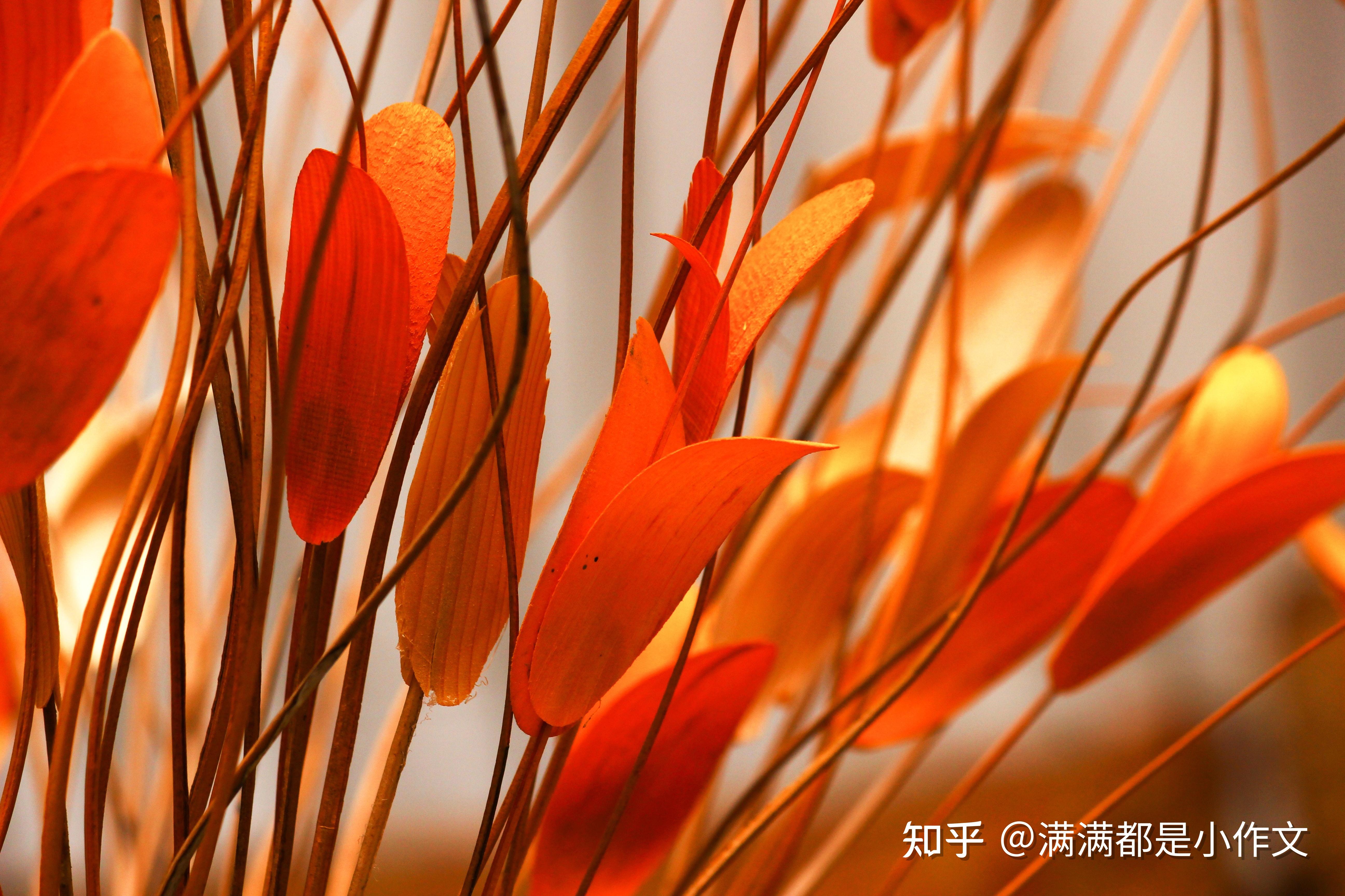 逆剑行免费下载_修真网游+施少+小说_网游之倒行逆施1655