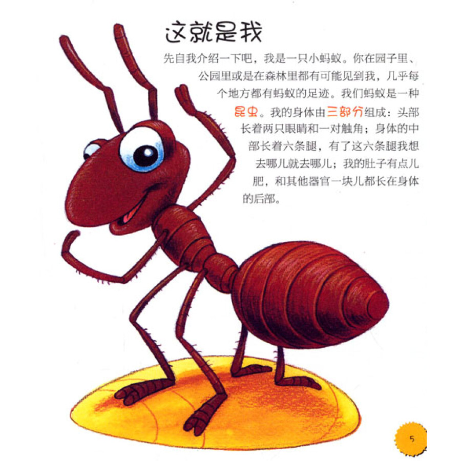 蚂蚁爬树叶的动图ppt_蚂蚁爬树叶flash动画_蚂蚁爬树叶的动画短片