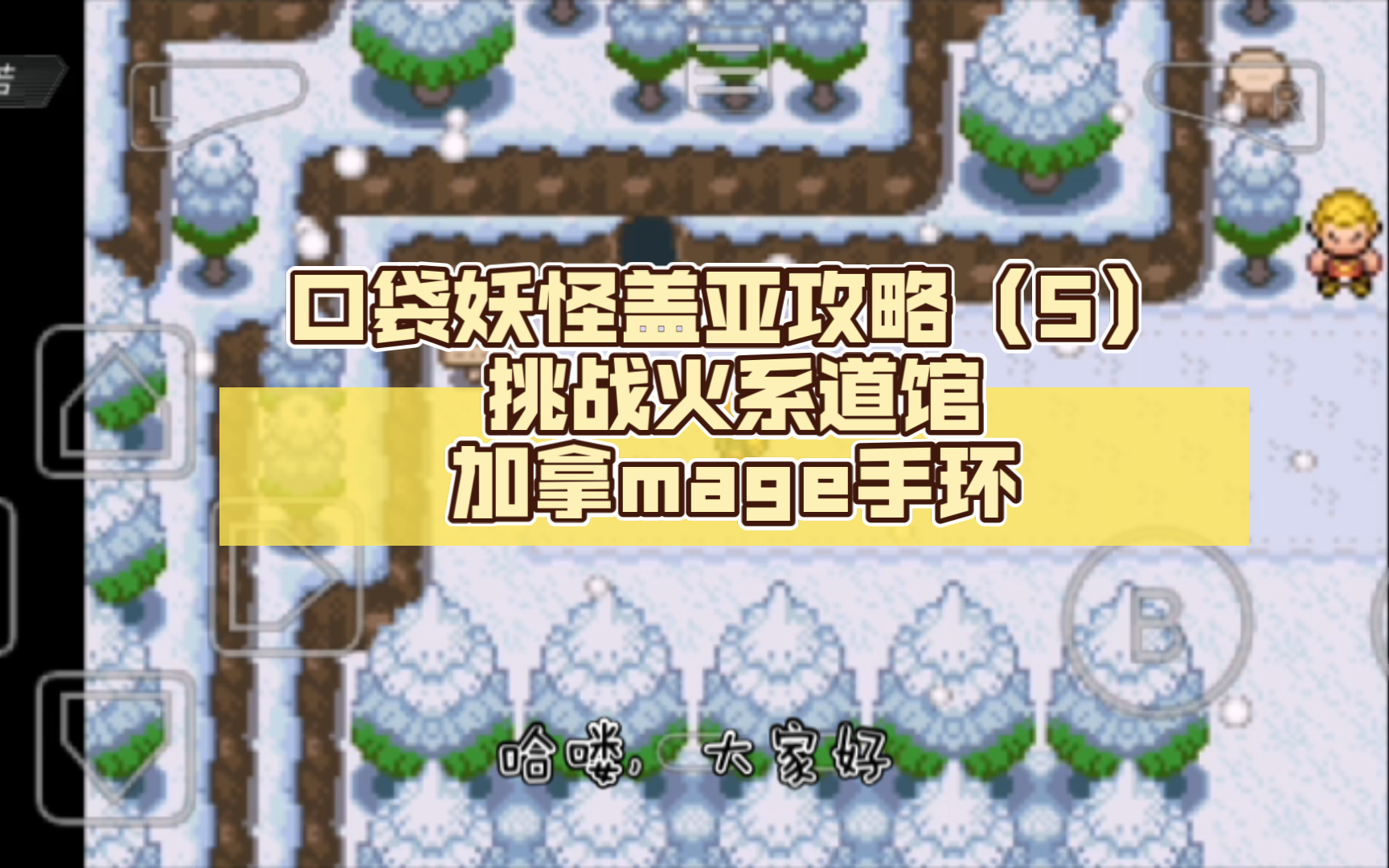 口袋妖怪 gba 攻略秘籍_口袋妖怪秘籍1_口袋妖怪八大秘籍