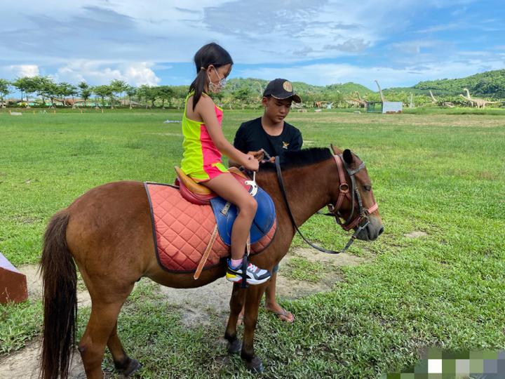 婴儿游泳挣钱吗_婴儿游泳要多少钱_给婴儿游泳多少钱一次