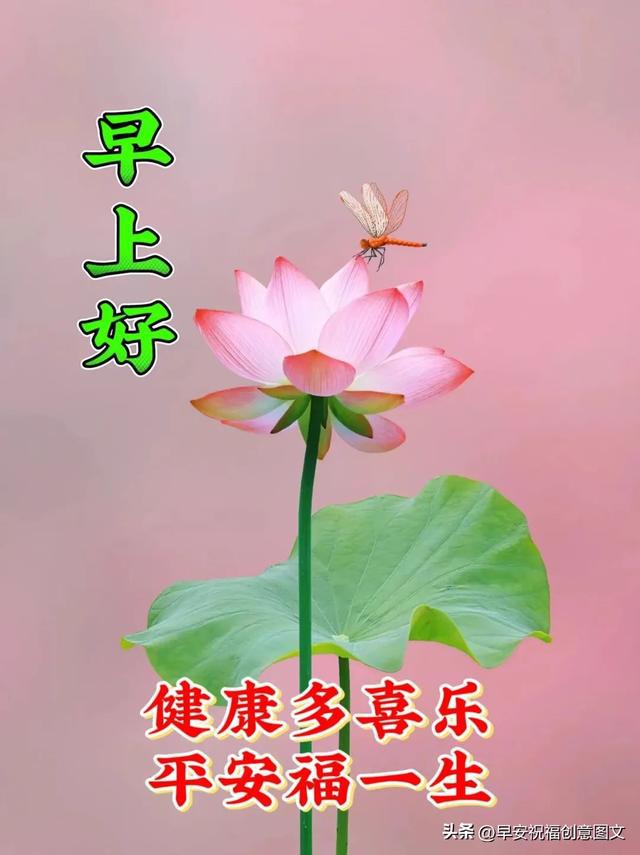 剧本范文动画怎么写_动画剧本范文_剧本动画短片