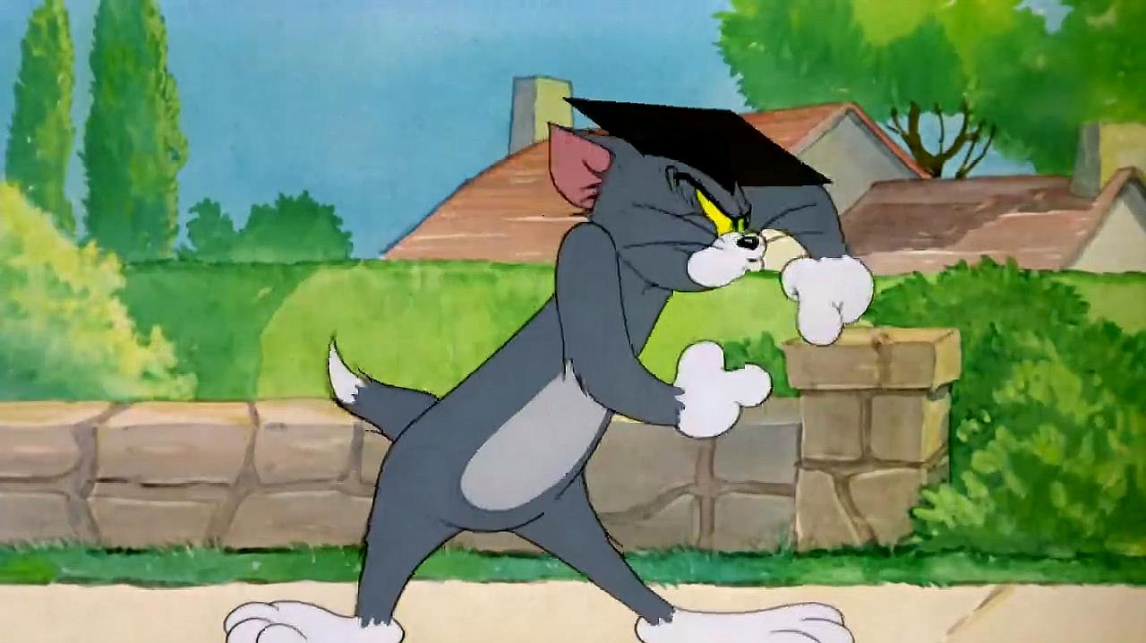小小猫和老鼠动漫_小猫老鼠_小猫老鼠动漫小说