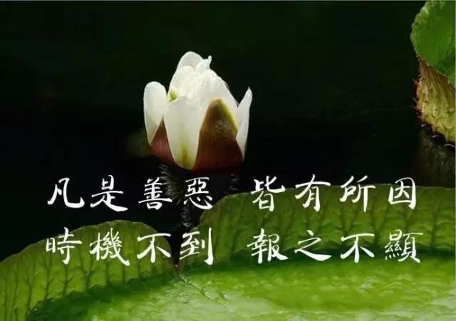 梦幻善恶有报成功几率_梦幻西游善恶有报和必杀的效果_梦幻西游善恶恶报几率