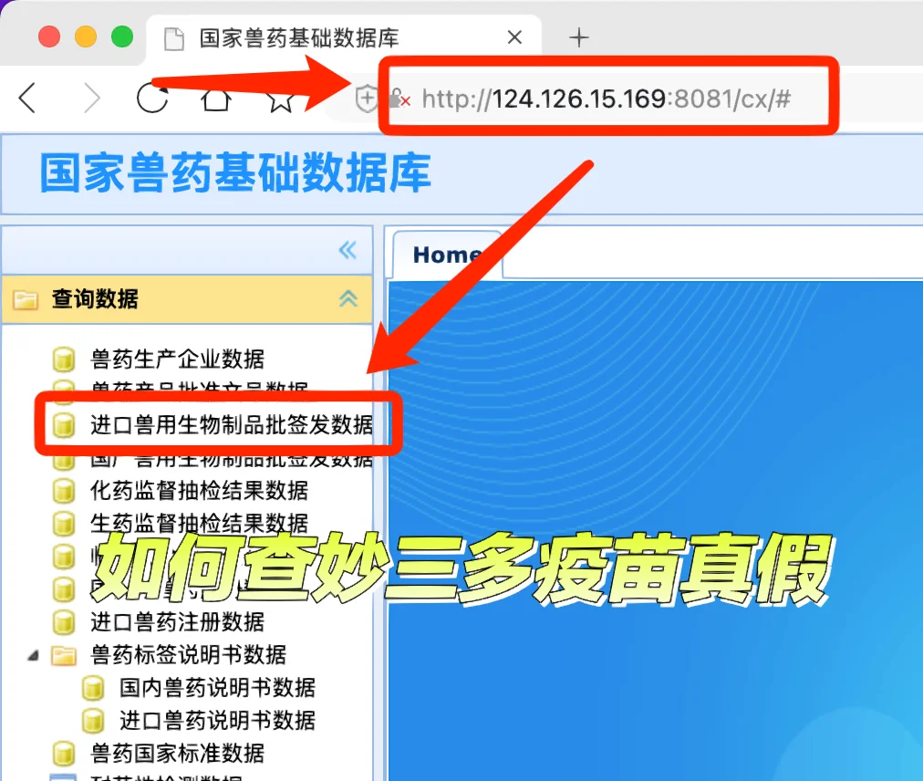 小鸭疫苗注射哪个部位_小鸭打疫苗用几号针头_小鸭疫苗怎样买