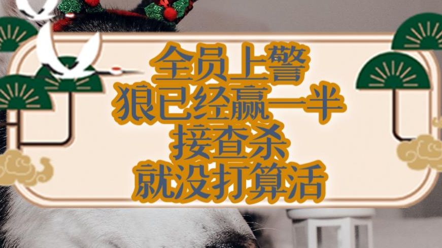 别人说你是个狼人你怎么回复_狼人说是回复的意思吗_狼人说是回复什么意思