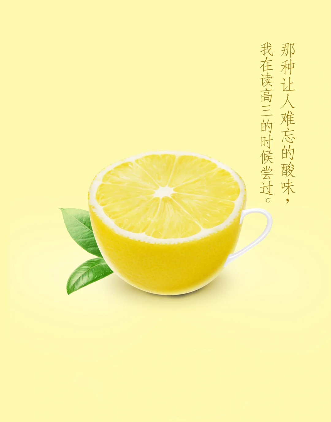 动画开发三味_开发三味中出现的游戏_动画开发三味最新集