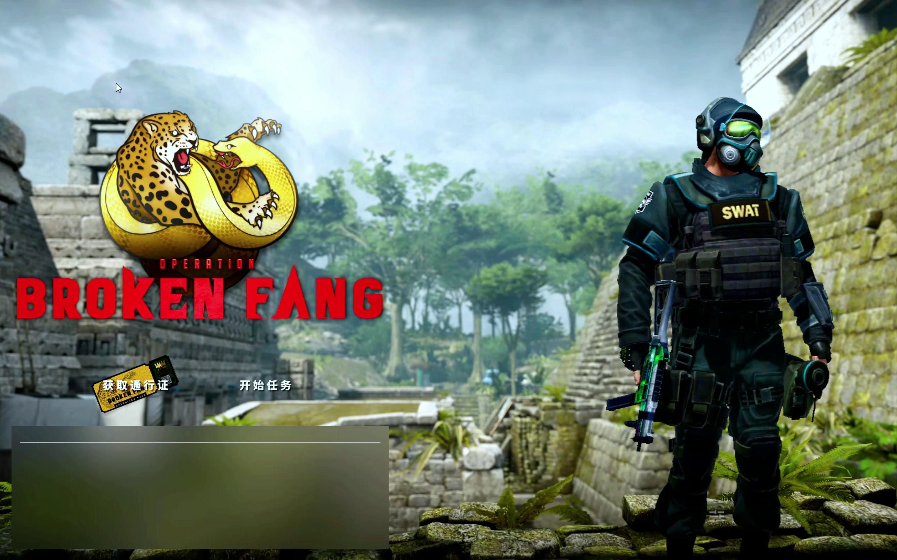 cs go国服不能单机吗_csgo只玩国际服_csgo有没有单机版