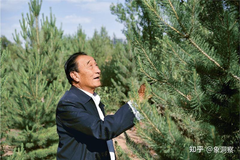 广东经济发展规划_广东省经济情况如何_广东省经济发展状况