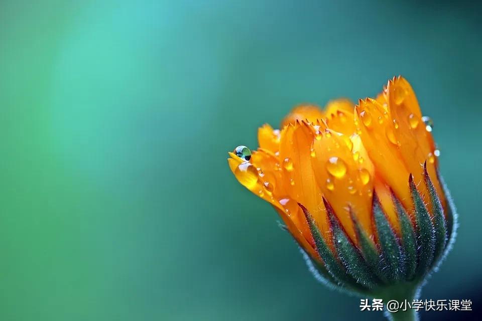 举国功臣_武国举资料_举国的举