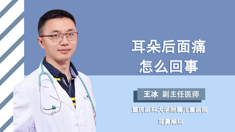 安装在动物耳朵的定位器_牛耳朵带的跟踪器_打在牛耳朵上的定位器