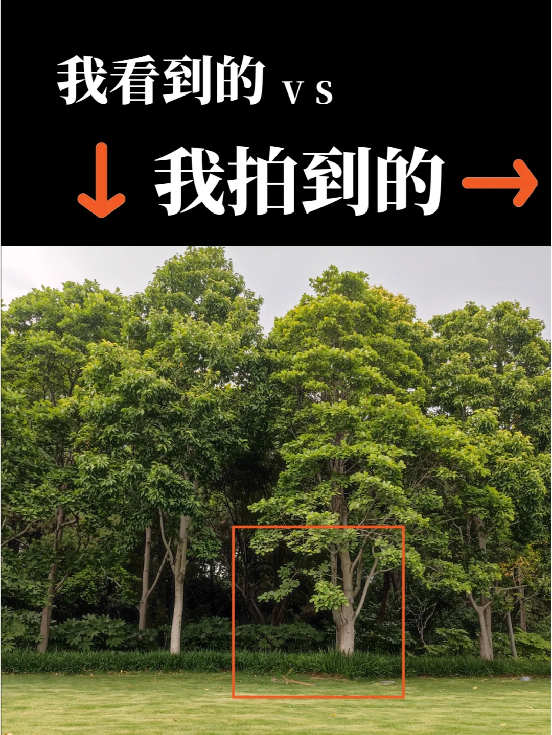 鬼父有个黑长直那一集_鬼父有个黑长直那一集_鬼父有个黑长直那一集