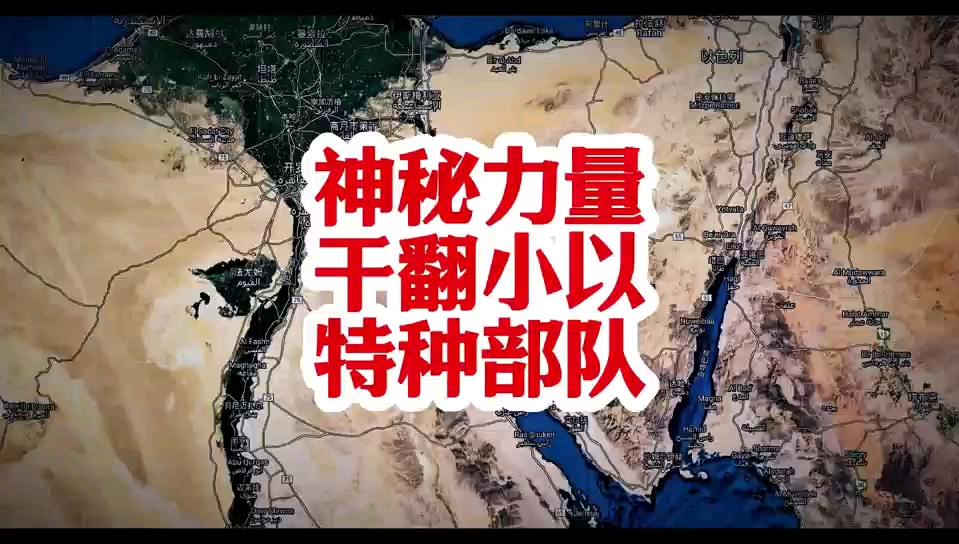 下载特种部队_8090游戏平台特种部队_特种部队游戏官网