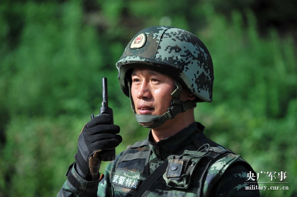 特种无双亮剑兵种介绍_特种兵无双兵王卡夜阁_亮剑之特种兵无双
