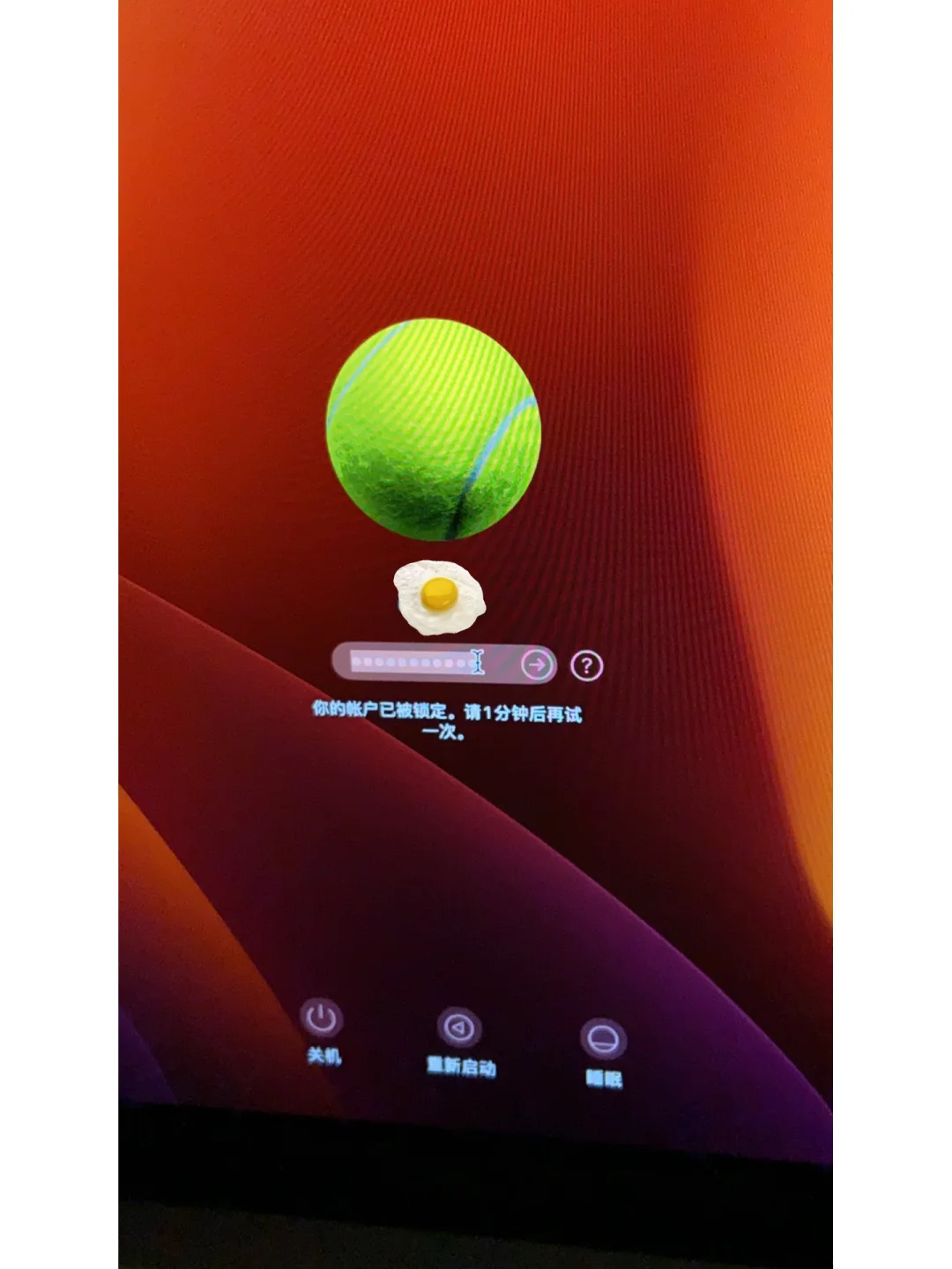 下载软件app内购买什么意思_mac app软件 下载_下载软件app微信