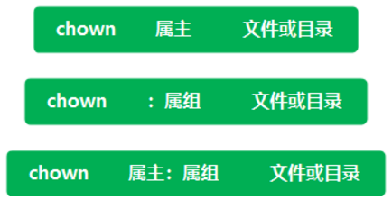 软件finalz_软件find_finger软件