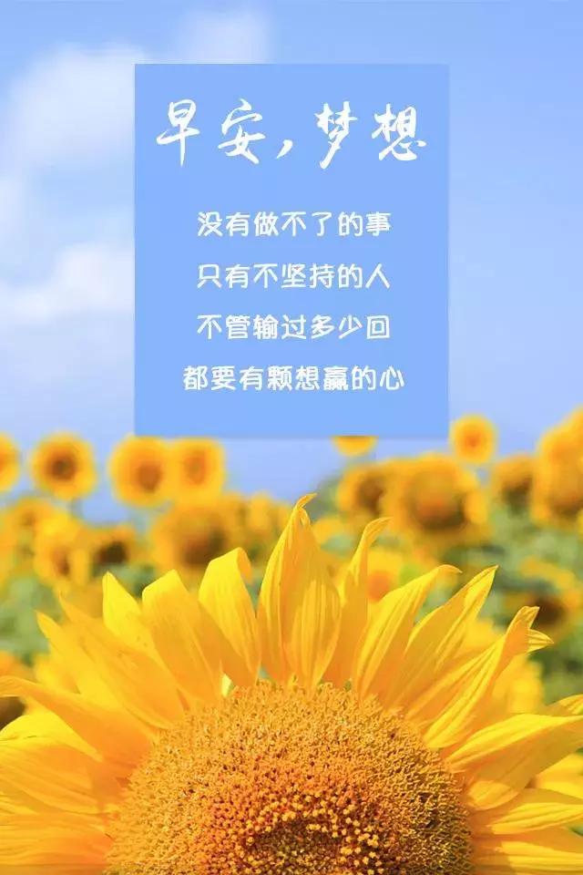 尝试努力作文600字_不止一次 我努力尝试600字_努力尝试作文素材