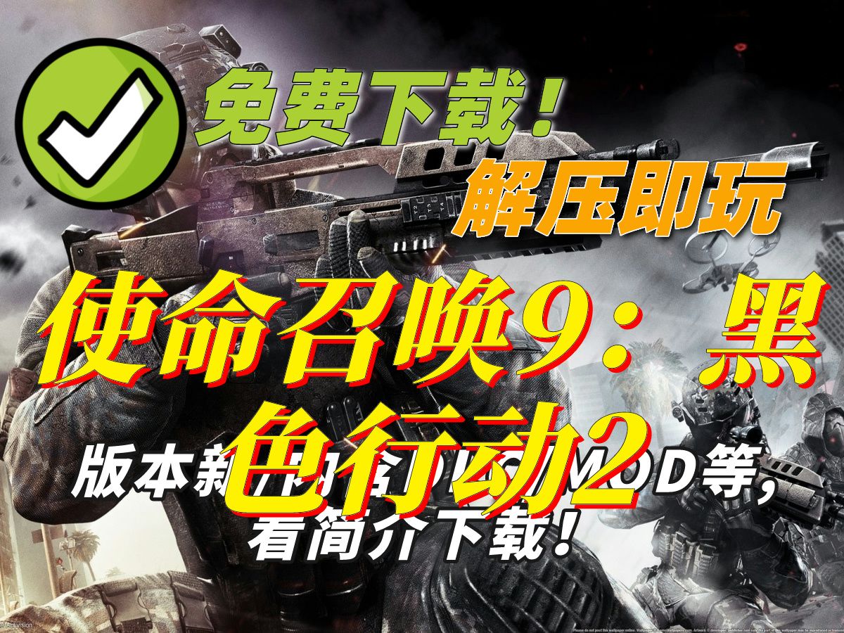 使命召唤黑屏怎么回事_使命召唤9黑色行动2进游戏只有画面然后就黑屏了_使命召唤黑屏问题解决方法