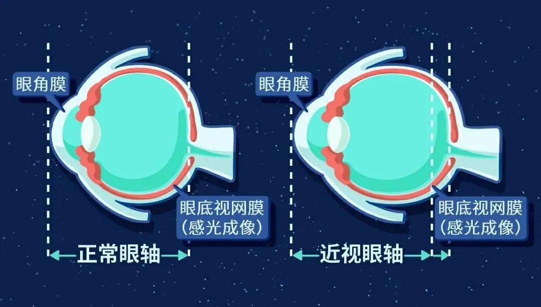 驾驶证档案干嘛用的_档案驾驶证用有效期多久_驾驶证档案有啥用