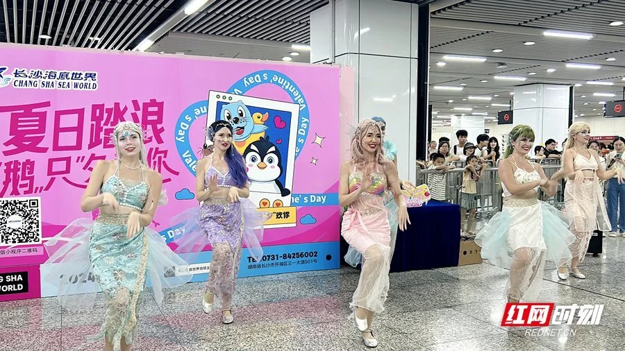 复仇的白鲸_复仇的白鲸2无敌版_白鲸的复仇电影