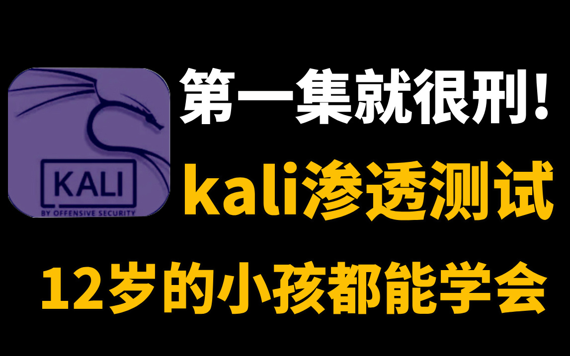 攻击网站软件有哪些_攻击网站软件下载_网站ddos攻击软件