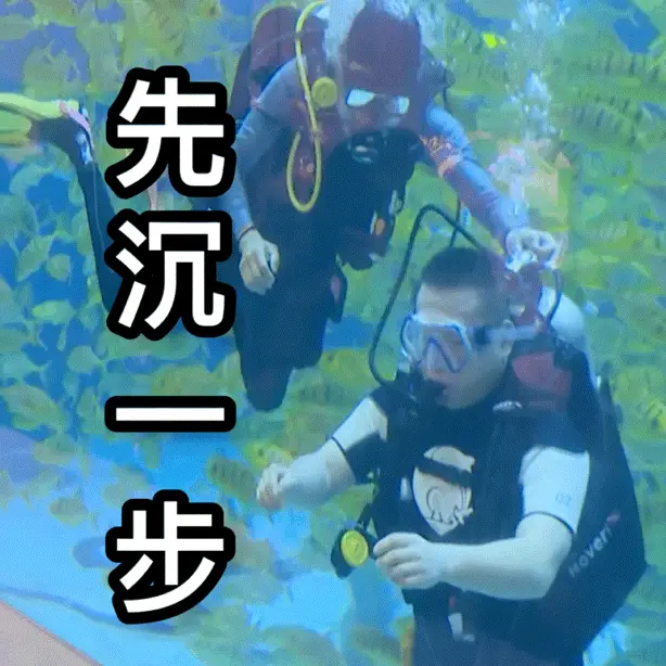 网游代言明星_局座代言网游_网游代言美女