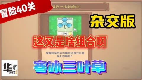 360植物大战僵尸ol激活码_僵尸大作战激活码_僵尸大战植物兑换码