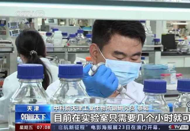 淀粉科学游戏,趣味科学游戏中的淀粉科学之旅